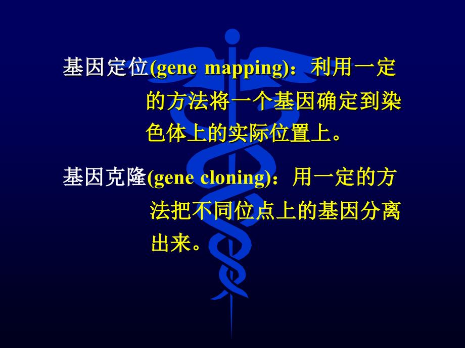 基因定位与克隆课件_第4页