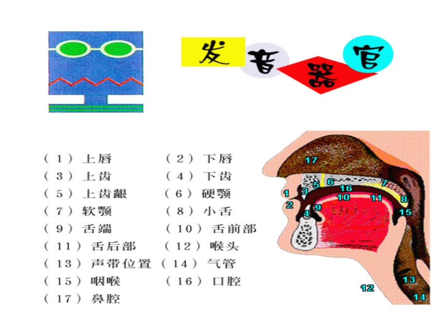 发音教学48个国际音标_第3页