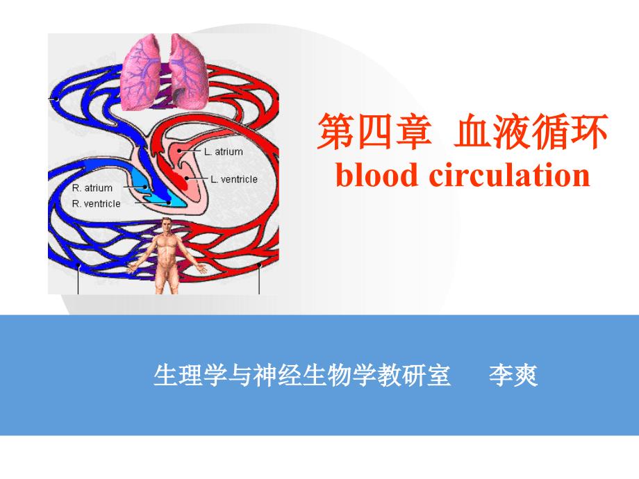 血液循环第一次课_第1页