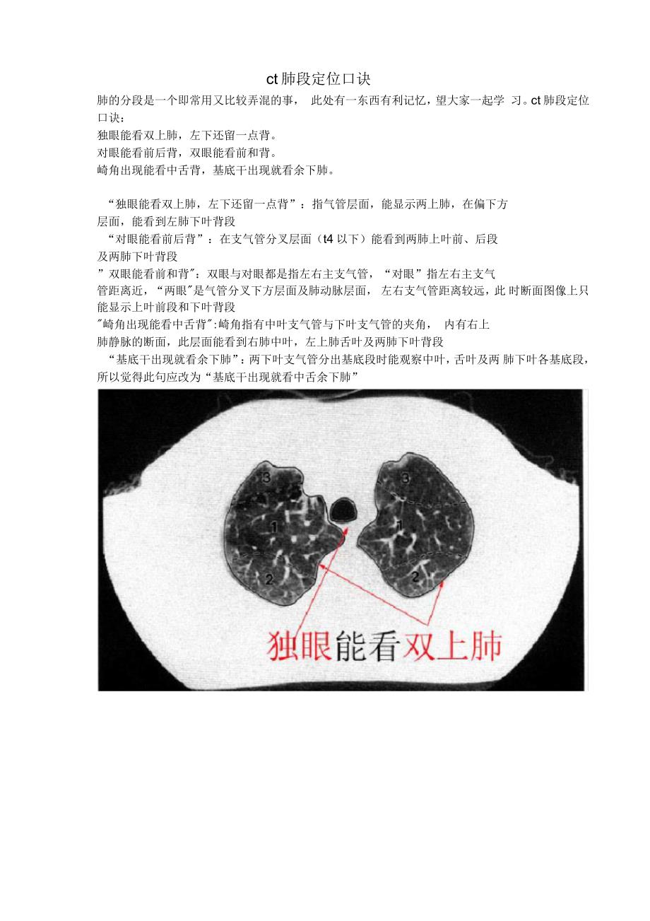 CT肺的分叶分段_第1页
