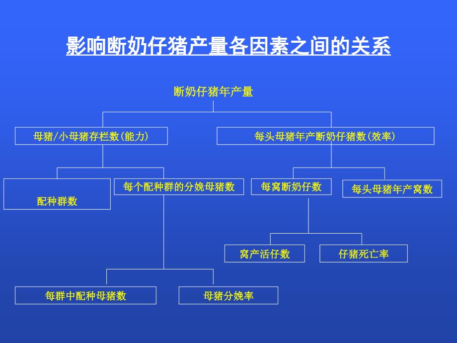 现代后备及经产母猪育种技术_第3页