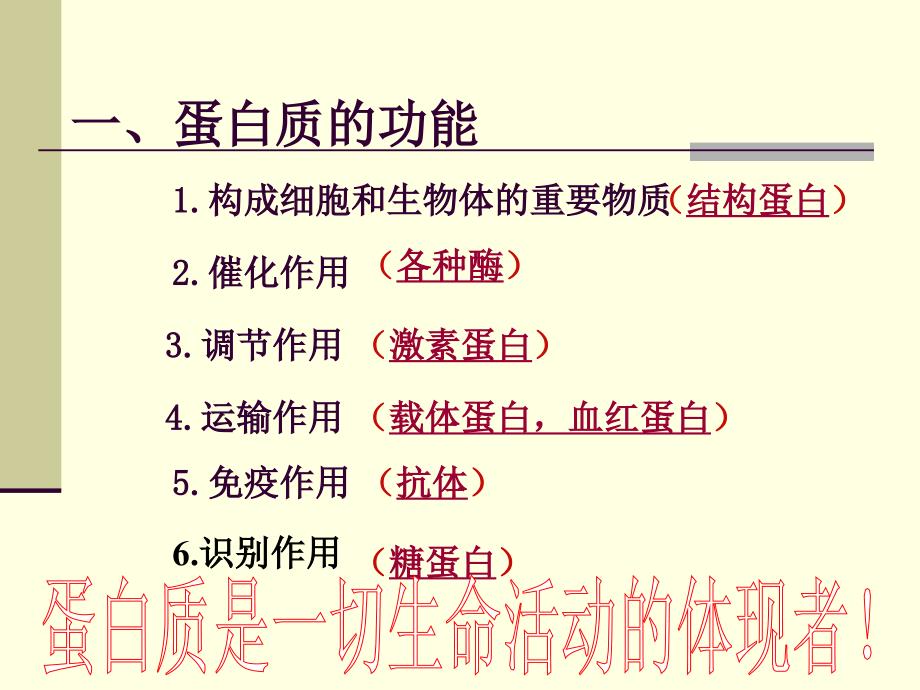 22生命活动承担者蛋白质_第3页