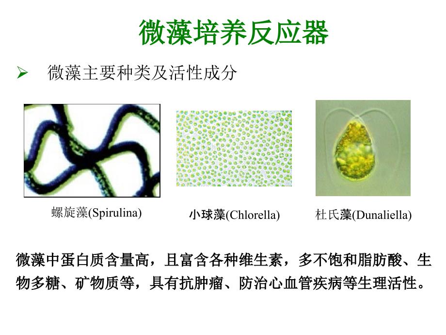 微藻培养反应器PPT课件_第2页