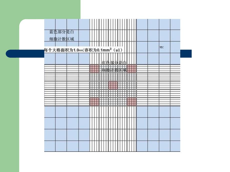 最新：实验三红细胞和白细胞计数文档资料_第4页