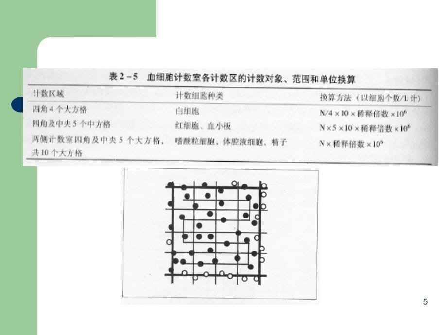 最新：实验三红细胞和白细胞计数文档资料_第5页