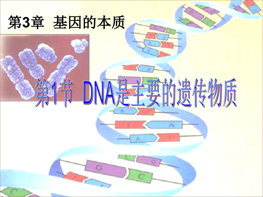 DNA是主要的遗传物质_第2页