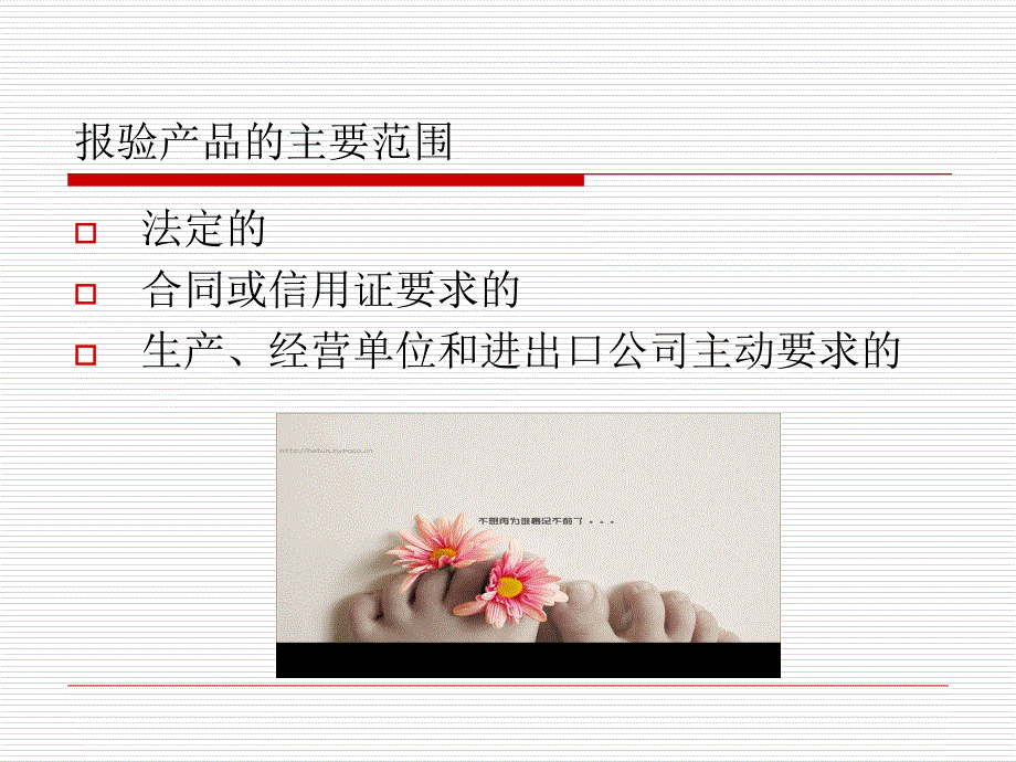 出口货物报验PPT课件_第3页