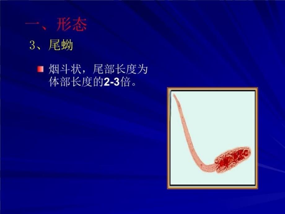 最新医学寄生虫学38肝吸虫幻灯片_第4页