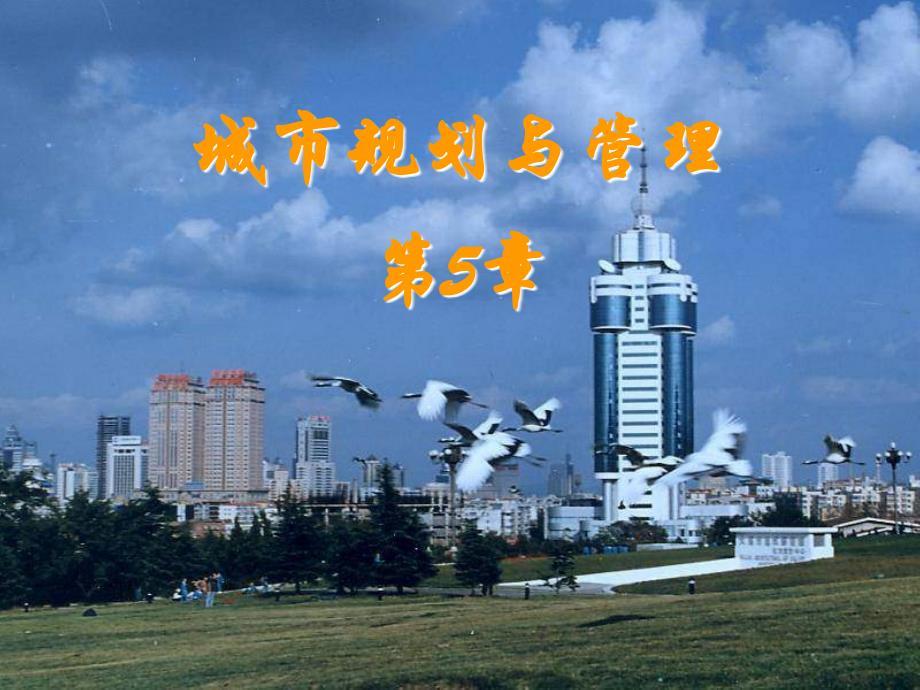 城市规划与管理---第5章 城市道路系统规划