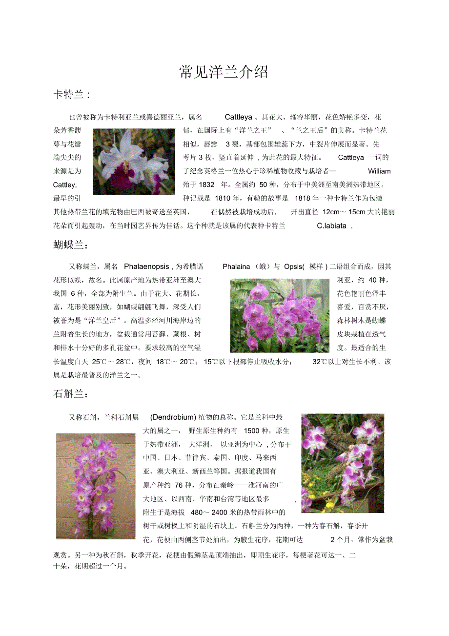 常见洋兰介绍_第1页