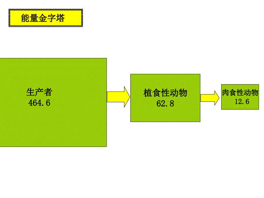 生态系统的稳态及其调节课件_第1页