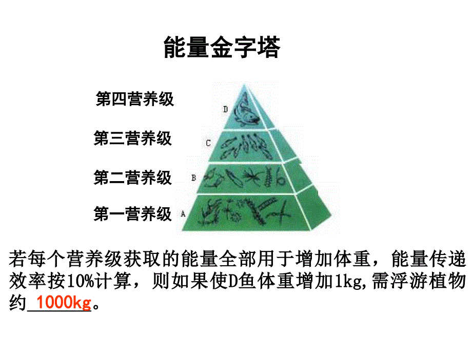 生态系统的稳态及其调节课件_第3页