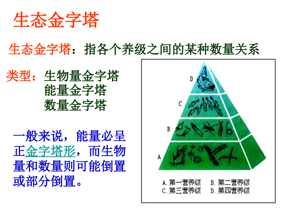 生态系统的稳态及其调节课件_第4页