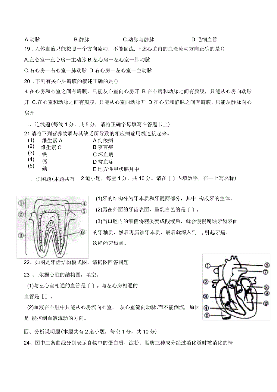 七年级下册生物阶段测试卷及答案(苏教版)_第4页