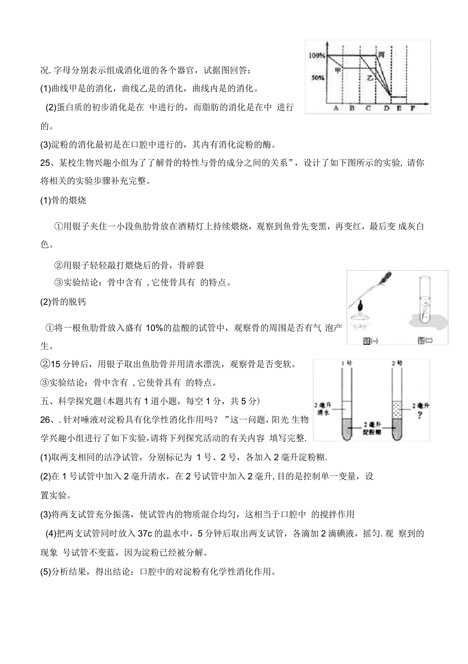 七年级下册生物阶段测试卷及答案(苏教版)_第5页