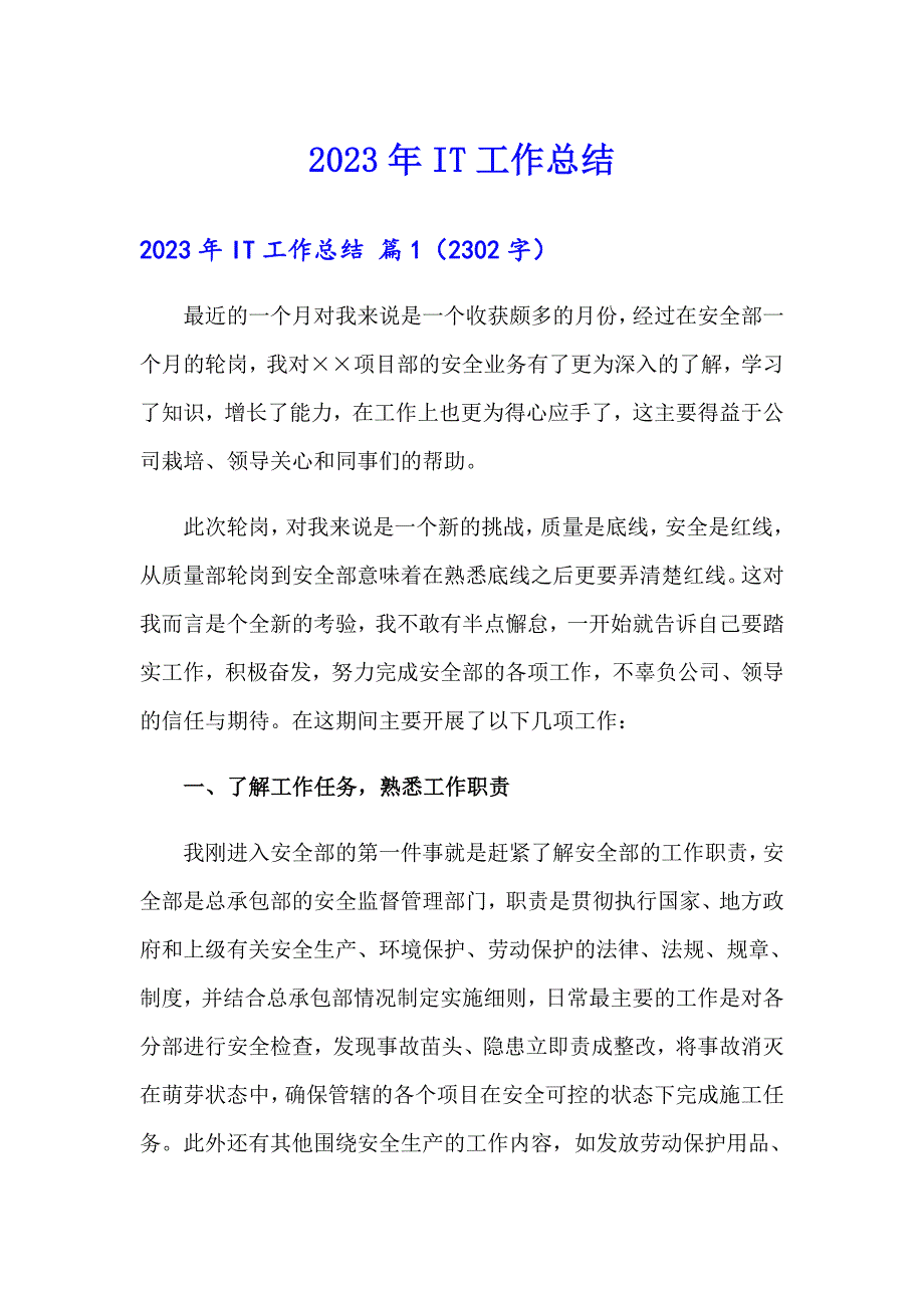 （精品模板）2023年IT工作总结_第1页