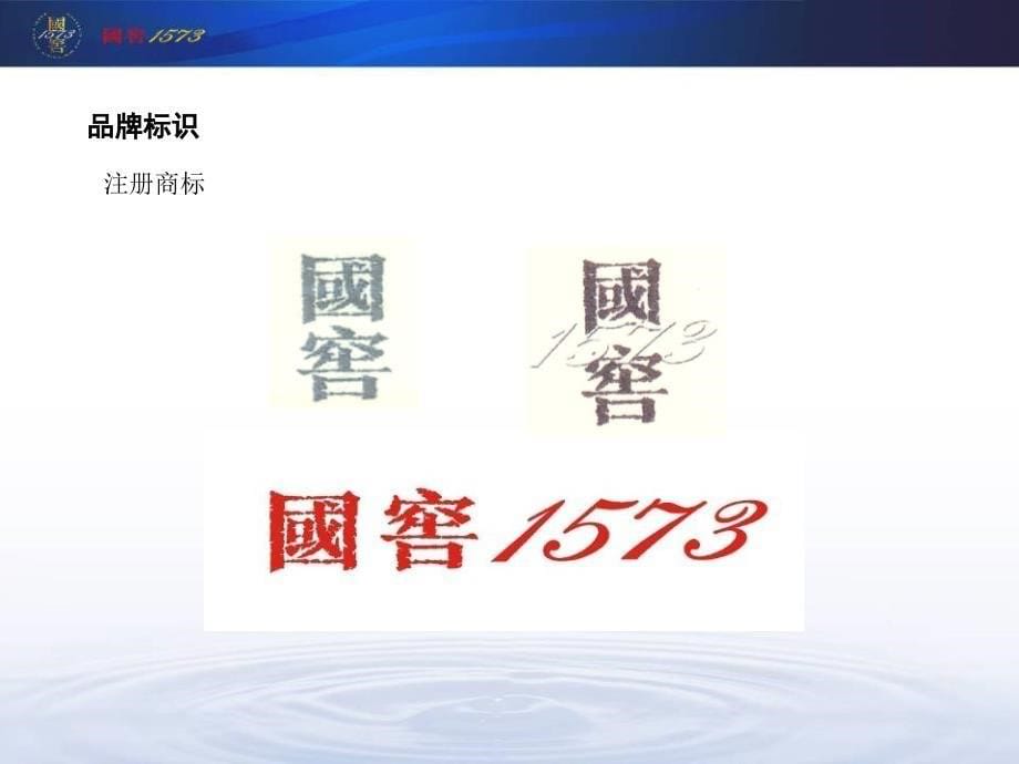 国窖1573白酒品牌推介策划方案_第5页