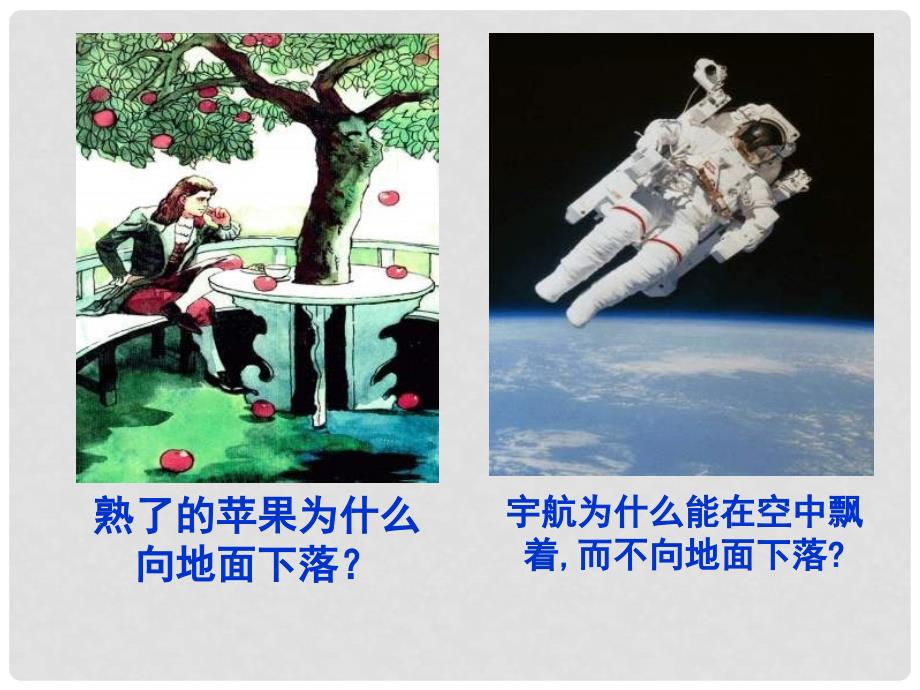 安徽省长丰县下塘实验中学八年级物理全册 6.4 来自地球的力课件 （新版）沪科版_第2页