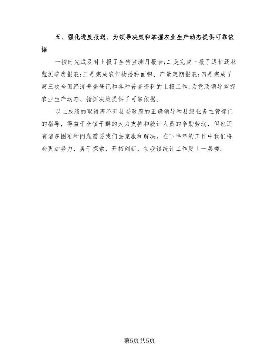 企业统计员个人工作总结与计划（2篇）.doc_第5页