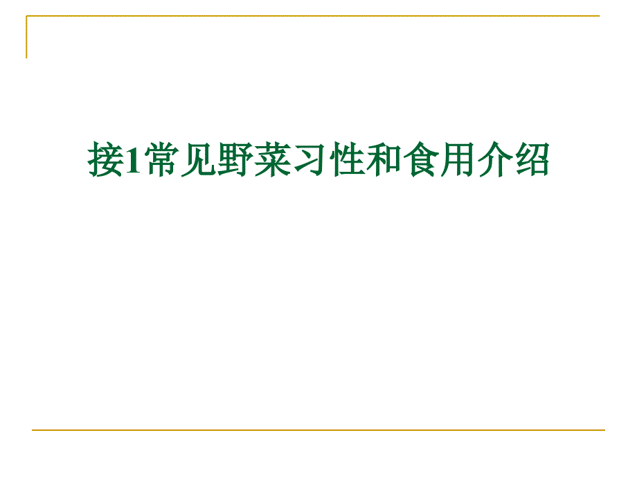 最新常见野菜习性和食用介绍PPT课件_第2页