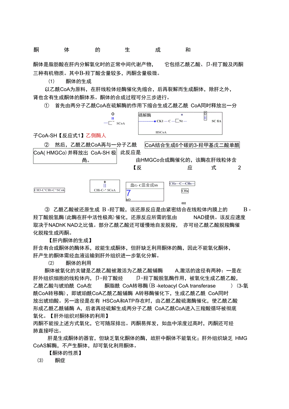酮体的生成和利用_第1页