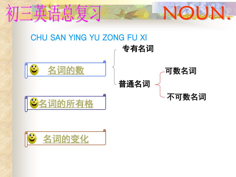 初中语法精讲--名词_第3页