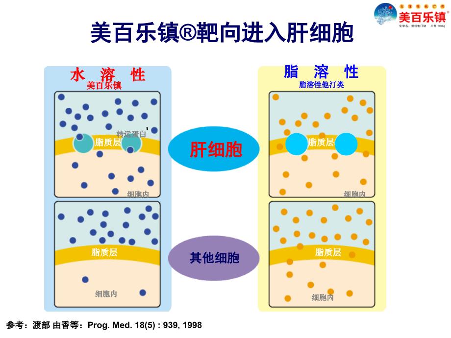 美白乐镇产品介绍(新)_第4页