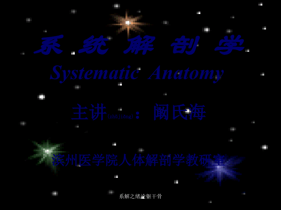 系解之绪论躯干骨课件_第1页