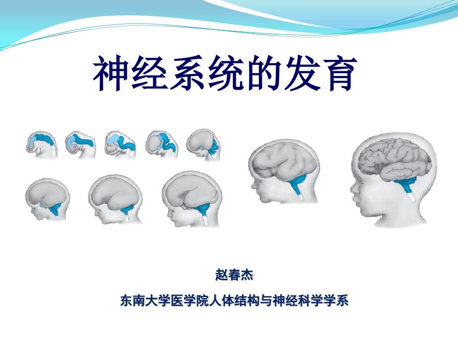 第五、六讲 神经系统的发育.ppt