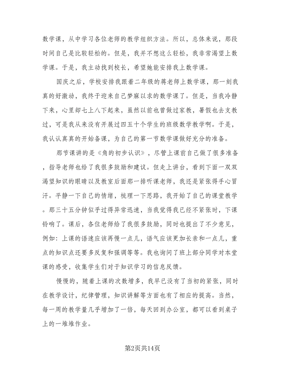 实习生顶岗实习总结范文（5篇）_第2页