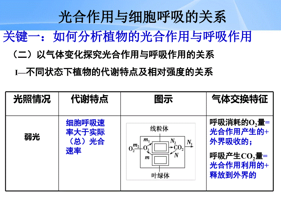 高三一轮复习光合作用与细胞呼吸的关系课件_第4页