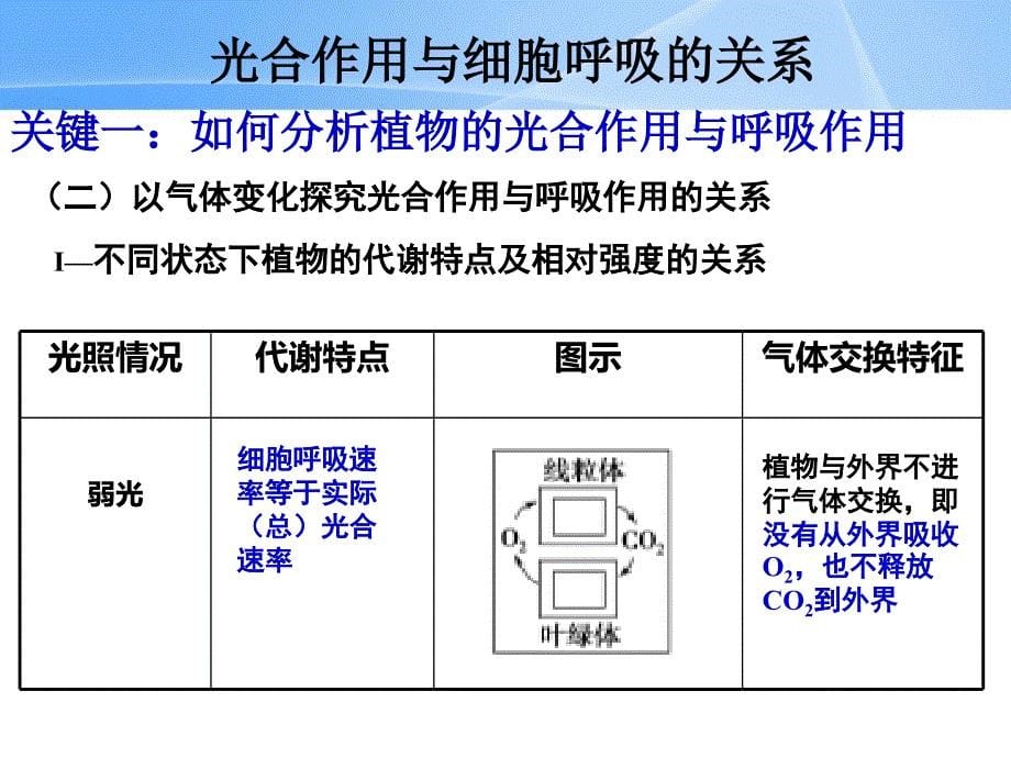 高三一轮复习光合作用与细胞呼吸的关系课件_第5页