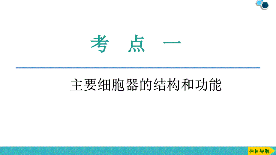 第2单元第2讲细胞器系统内的分工合作_第4页