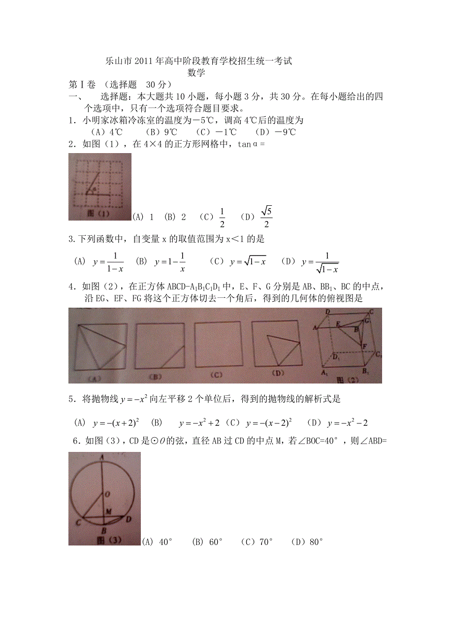 2011年四川省乐山市中考数学试卷及答案.doc_第1页