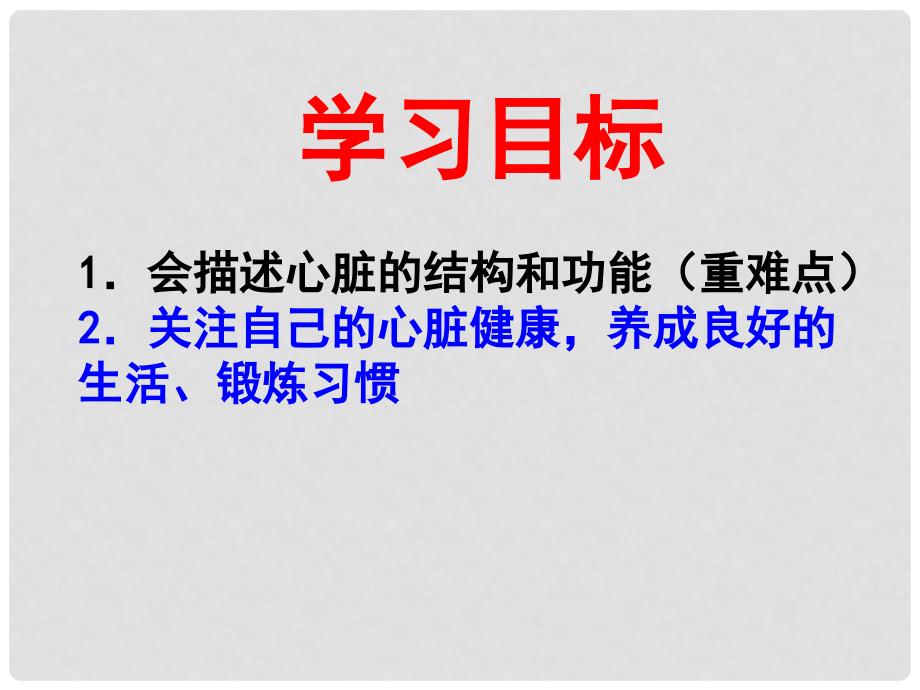 山东省济宁市任城区石桥中学八年级生物上册 第四章 第三节《输送血液的泵》课件 鲁科版_第3页