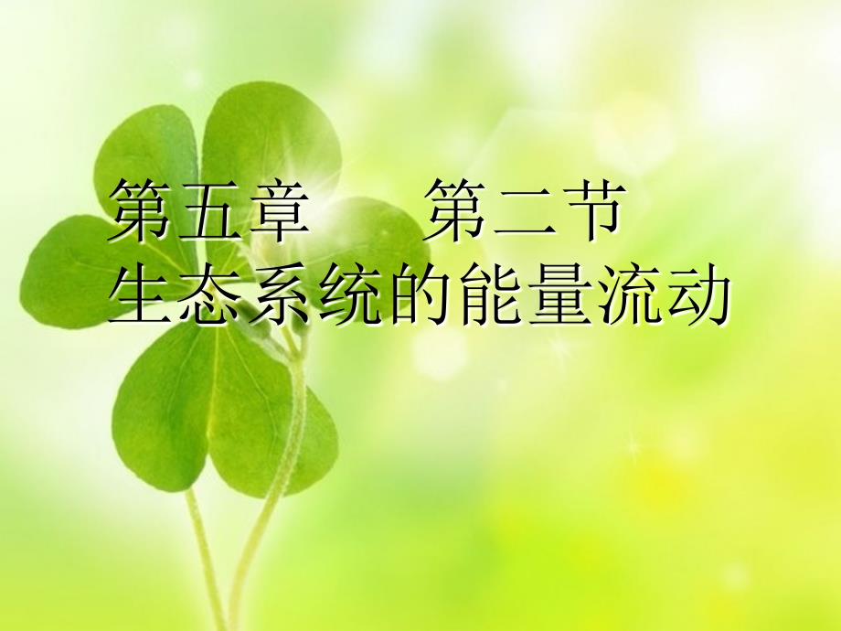 教学课件第五章第二节生态系统的能量流动_第3页