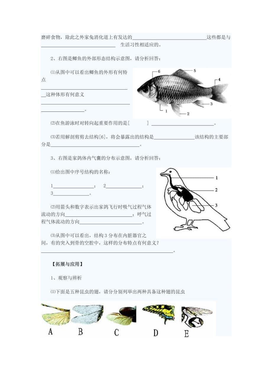 八年级生物上册第一章测试题.doc_第5页