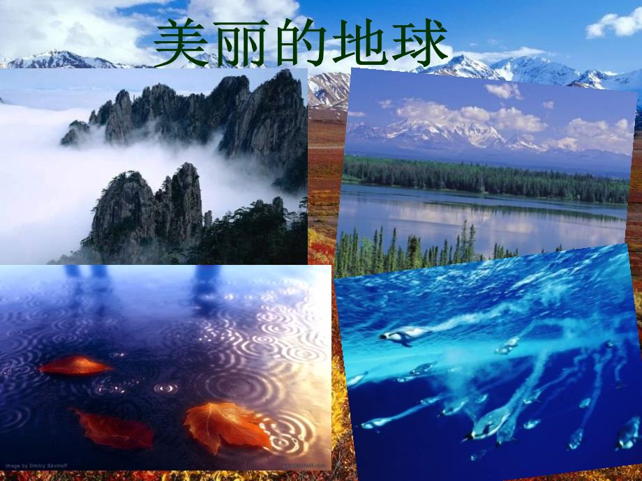 生物必修3课堂教学课件-保护我们共同的家园.ppt_第3页