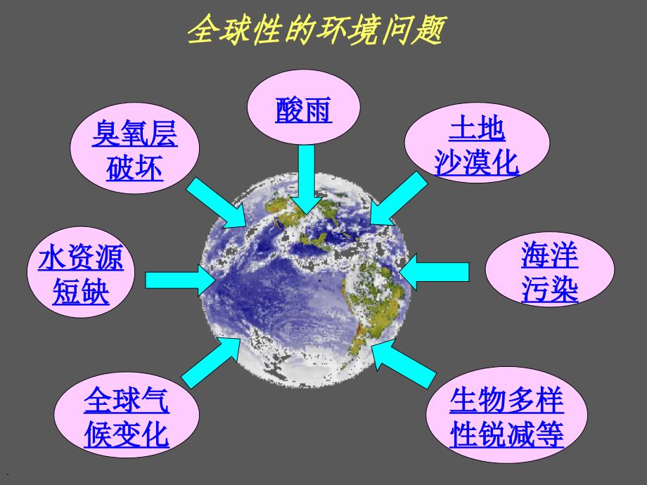 生物必修3课堂教学课件-保护我们共同的家园.ppt_第4页