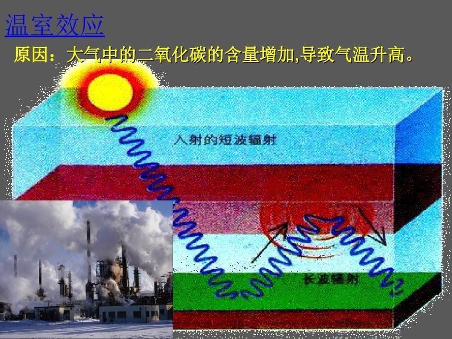 生物必修3课堂教学课件-保护我们共同的家园.ppt_第5页