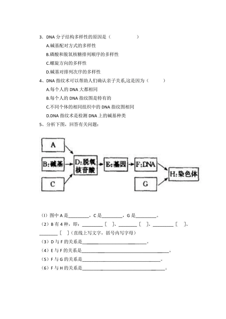 基因是有遗传效应的DNA片段学案.doc_第4页