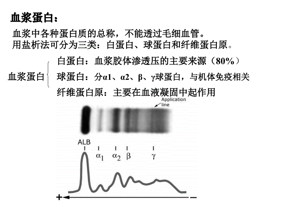 动物生理学第六章血液_第4页