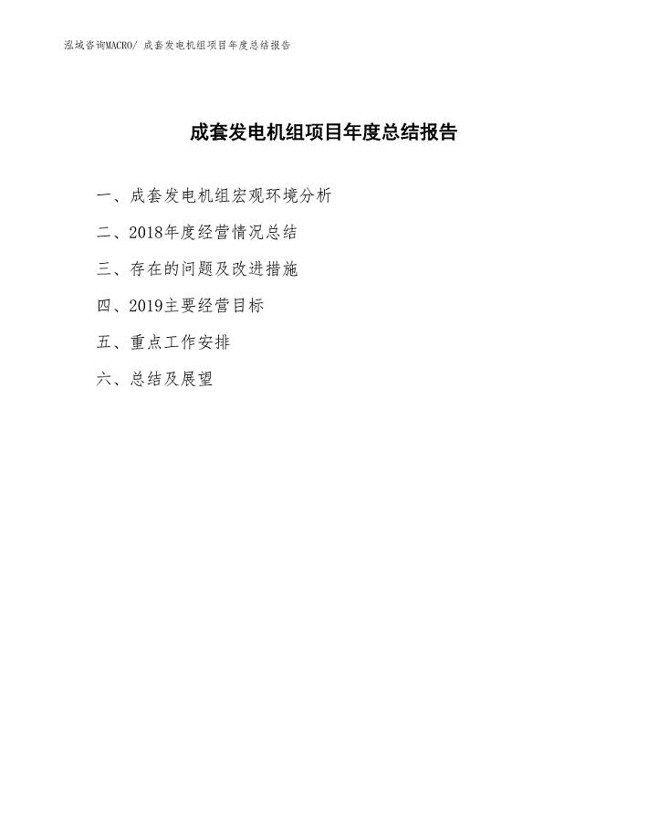 xx公司成套发电机组项目年度总结报告.docx