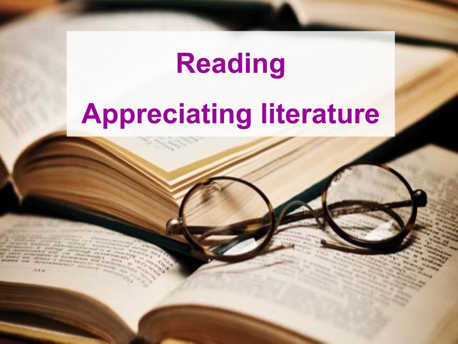 Reading3Appreciatingliterature_第2页