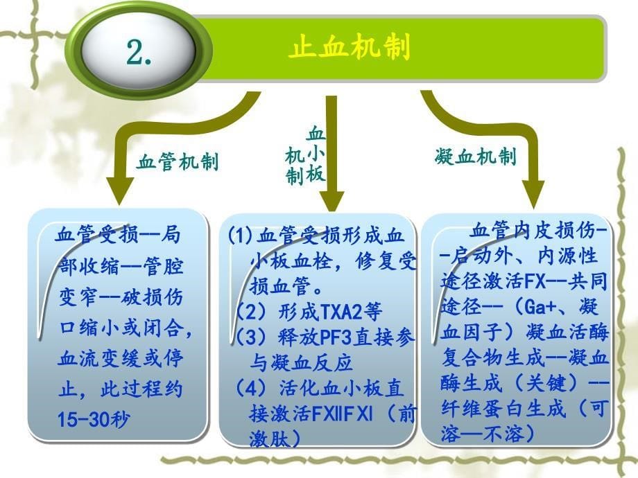 凝血药的合理使用PPT精品课件_第5页