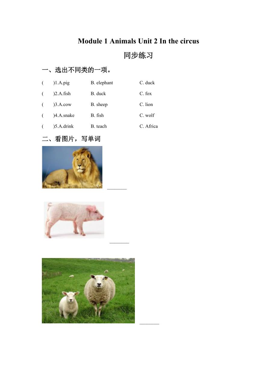 Module 1 Animals Unit 2 In the circus 同步练习1.doc_第1页