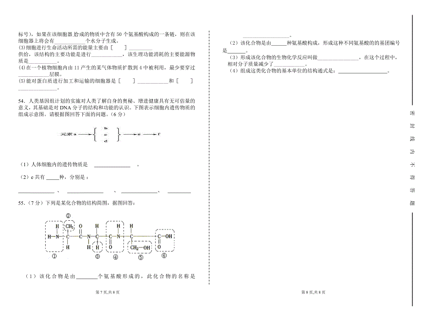 高二第一学期第一次月考考试文科 生物卷.doc_第4页