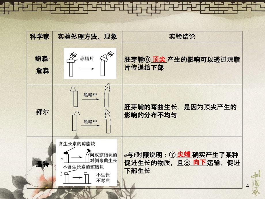 考点分析近几年新课标试题中对生长素的发现与作用_第4页