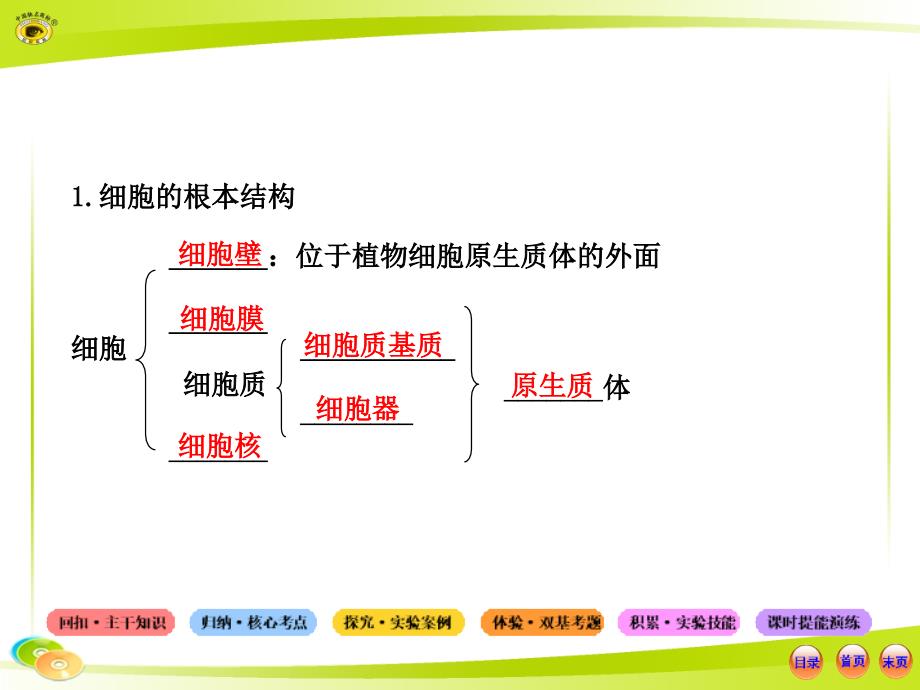 生物系统复习必备全套课件中图版1.1.2.3细胞的基本结构真核细胞与原核细胞_第3页