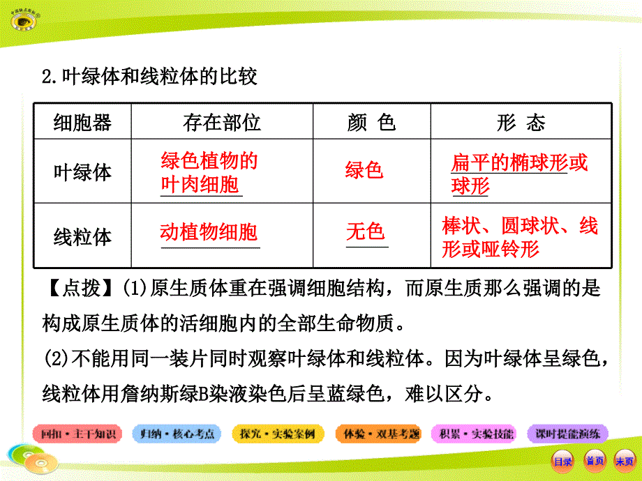 生物系统复习必备全套课件中图版1.1.2.3细胞的基本结构真核细胞与原核细胞_第4页